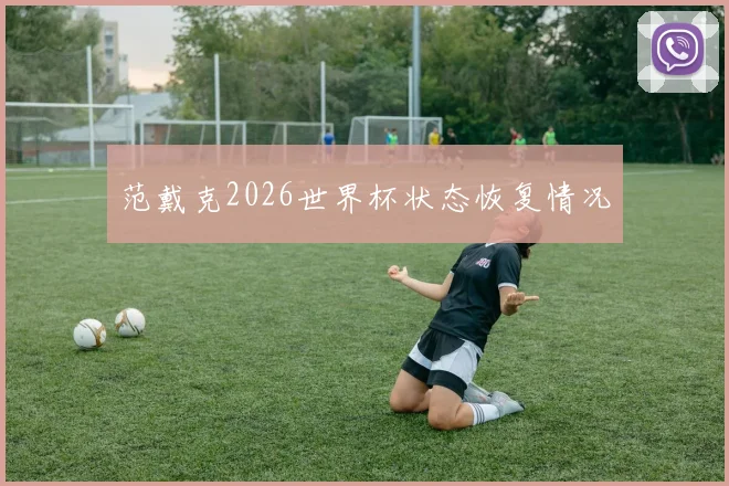 范戴克2026世界杯状态恢复情况