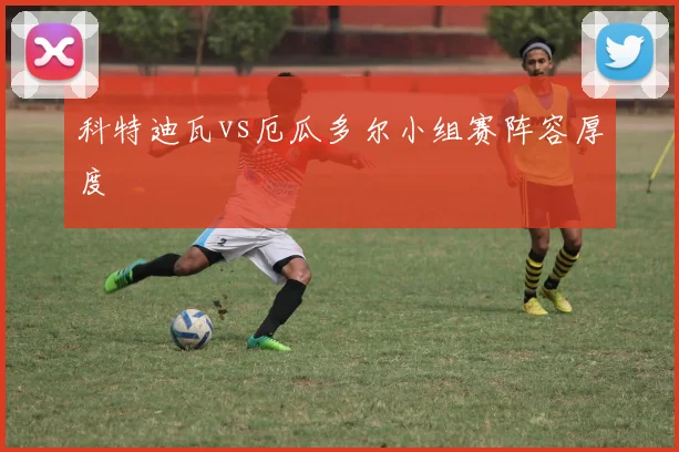 科特迪瓦vs厄瓜多尔小组赛阵容厚度