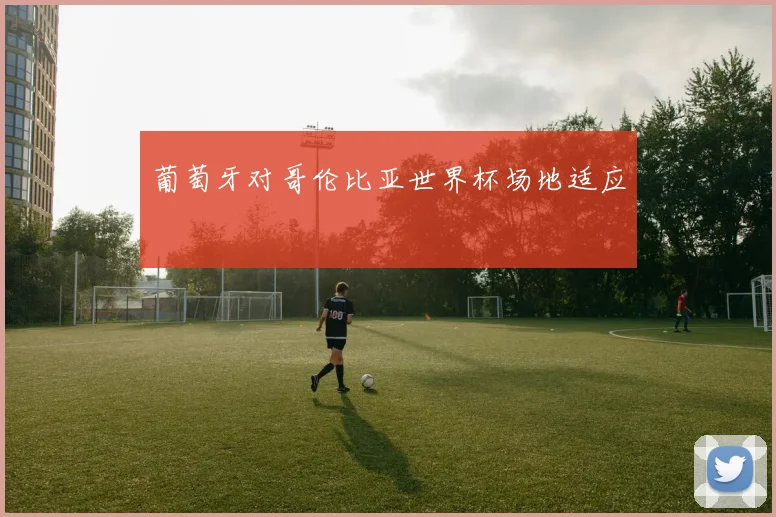葡萄牙对哥伦比亚世界杯场地适应